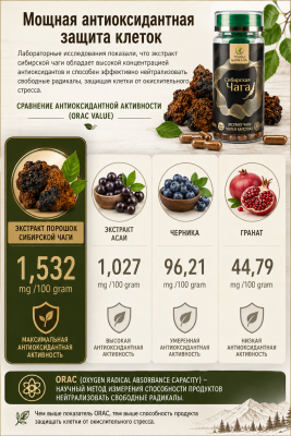 Экстракт чаги «Сибирская чага» в капсулах, 42 кап * 0,4 г., банка акрил